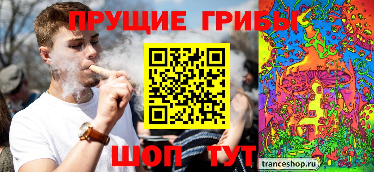 Галлюциногенные грибы прущие грибы Жуковский