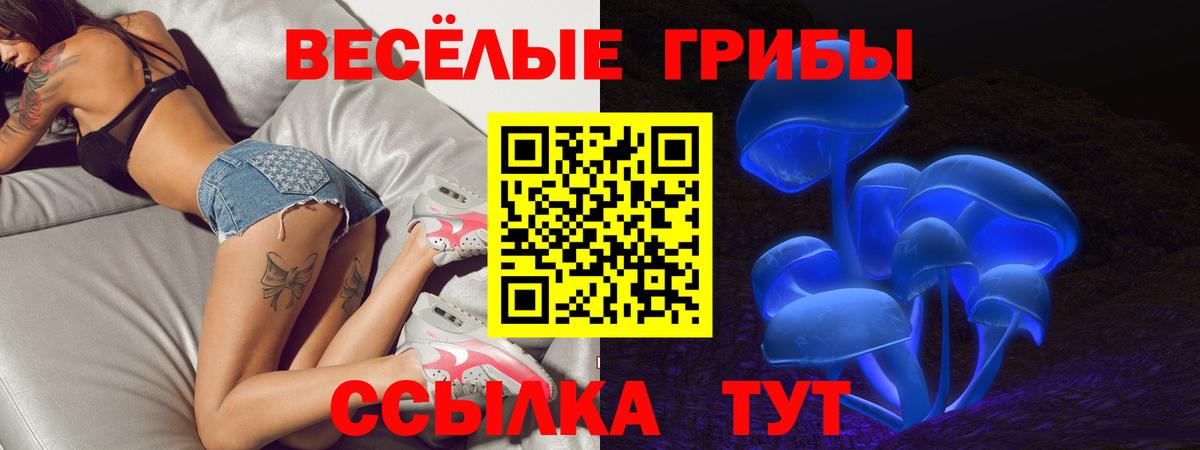 Галлюциногенные грибы GOLDEN TEACHER  Псилоцибиновые грибы ЛСД  Вход с VPN  Жуковский 